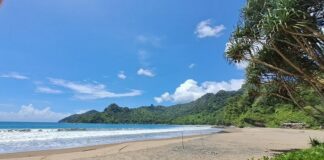 Pantai Bandealit, sebuah surga tersembunyi di kawasan selatan Jember