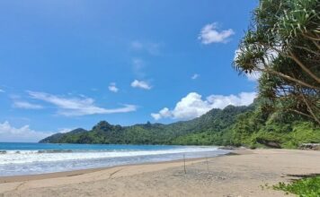 Pantai Bandealit, sebuah surga tersembunyi di kawasan selatan Jember