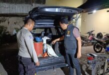 Polisi menunjukkan barang bukti BBM subsidi yang diduga ditimbun di tengah kelangkaan Pertalite di Jember. Bongkah.id/Muhammad Hatta/
