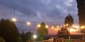 6 rekomendasi kafe dataran tinggi di Jember