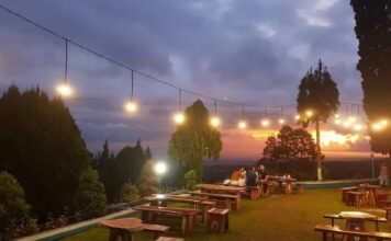 6 rekomendasi kafe dataran tinggi di Jember