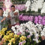 Batu Shining Orchids Week 2025, yang digelar di Balai Kota Among Tani.