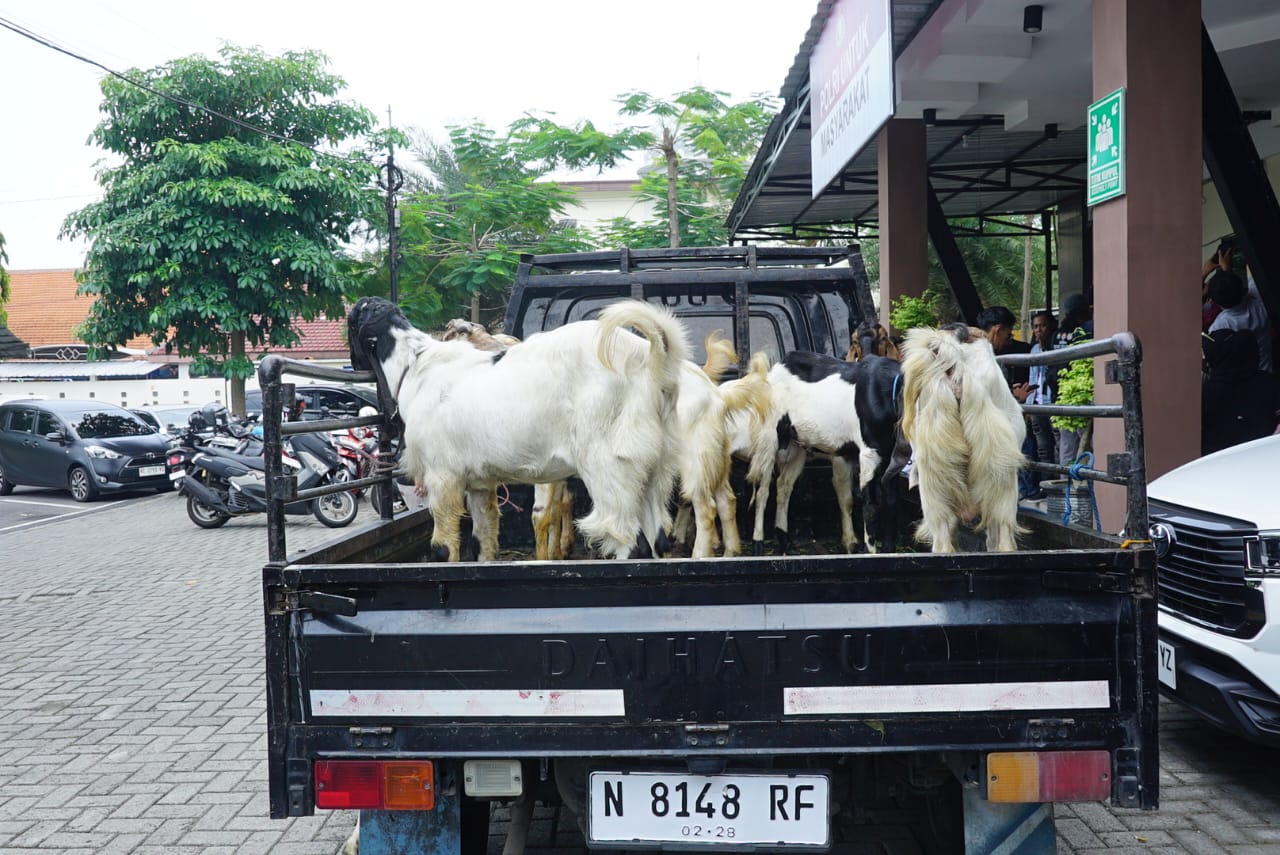 pelaku penipuan usai di amankan anggota polres Jombang./bongkah.id/Karimatul Maslahah/