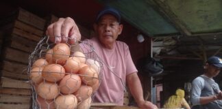 Penjual ayam telur di pasar tradisional Jombang./bongkah.id/Karimatul Maslahah/