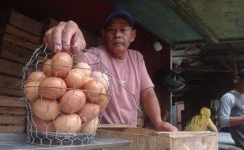 Penjual ayam telur di pasar tradisional Jombang./bongkah.id/Karimatul Maslahah/