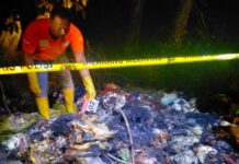 Perampokan Sadis di Jombang: Lansia Ditemukan Gosong di Hutan Lamongan