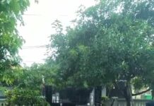 Guyuran Air Hujan di Surabaya Diduga Tercemar Partikel Mikroplastik