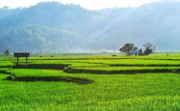 15 Januari Diperingati sebagai Hari Desa Nasional, Tapi Tidak Libur