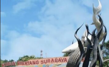 KBS Resmi Jadi Perumda, Siap Ekspansi dan Memperkuat Konservasi Satwa