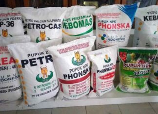 Dunia Berebut Pupuk Indonesia Tapi Tak Mampu Dilayani Karena Biaya Produksi Mahal