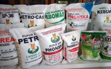 Dunia Berebut Pupuk Indonesia Tapi Tak Mampu Dilayani Karena Biaya Produksi Mahal