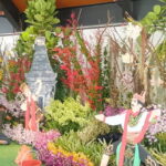 Stan Indonesia di Malaysia Highest Flower Exhibition 2026 padukan keindahan anggrek dengan visual Jaranan dan Tari Remo. Targetkan juara?
