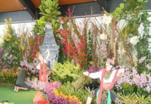 Stan Indonesia di Malaysia Highest Flower Exhibition 2026 padukan keindahan anggrek dengan visual Jaranan dan Tari Remo. Targetkan juara?
