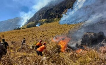 Bromo Ditutup Total akibat Karhutla, 3 Destinasi Wisata Probolinggo Ini Masih Aman Dikunjungi