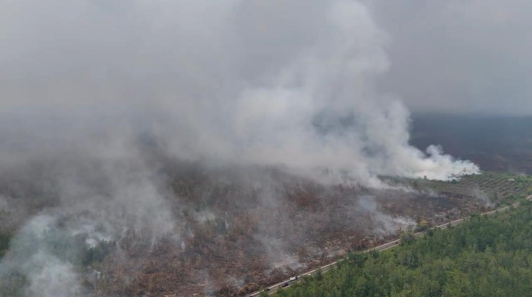 Walhi mencatat 25.524 titik panas karhutla di Kalimantan berada di kawasan konsesi perusahaan. Temuan ini menyoroti pentingnya pengawasan dan penegakan hukum lingkungan.