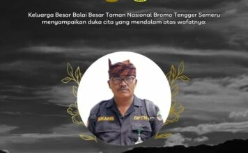 Tragedi Karhutla Bromo, 3 Petugas dan Relawan Tewas Saat Padamkan Api