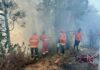 Karhutla Jatim Meluas, Empat Kawasan Terbakar Capai 75,37 Hektare