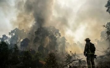 Prabowo Ancam Cabut Izin Perusahaan Pelaku Karhutla, 32 Korporasi Kena Sanksi