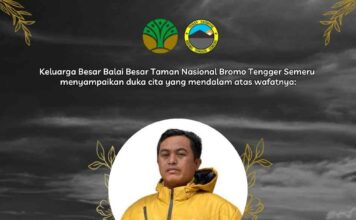 Suraji Gugur Saat Bantu Padamkan Api, Korban Karhutla Bromo Bertambah Jadi Enam
